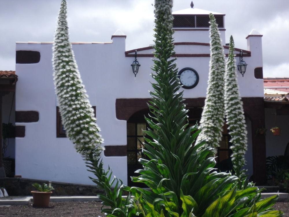 Finca El Picacho Hotell Valle de Guerra Exteriör bild